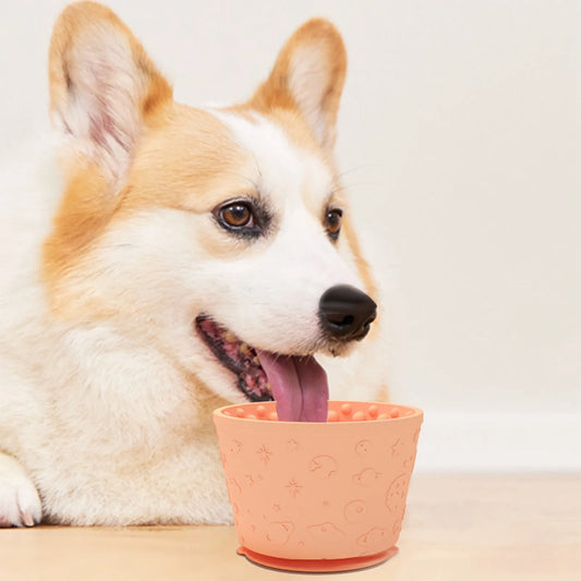 Calming Lick Bowl for Dogs